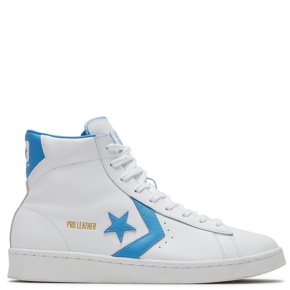 ���� 166813C