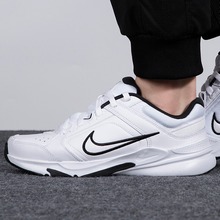 �Ϳ˹پWDJ1196-102