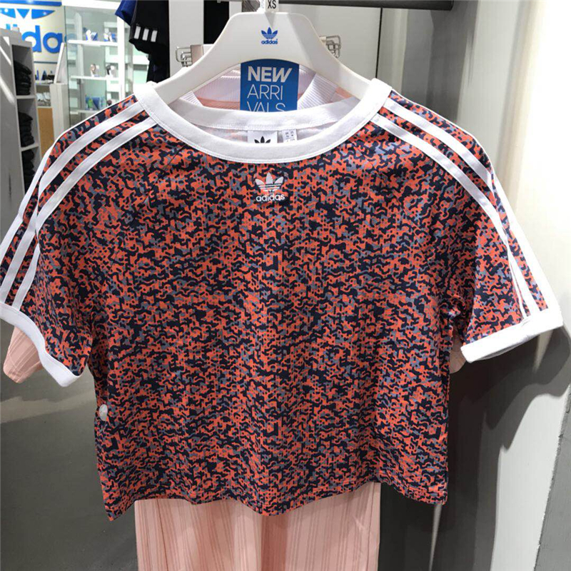 ���� DH2984_HK
