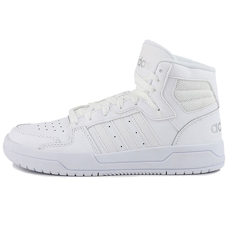 ���� EG4341