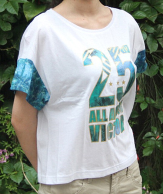 ���� ATSK074-1